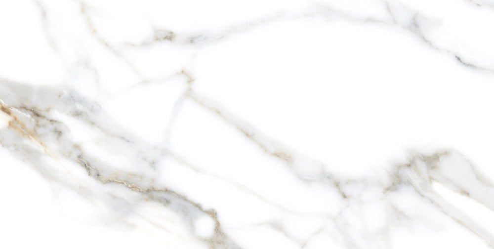 Bodenfliese Satuario Cartin Grau Poliert 60x120