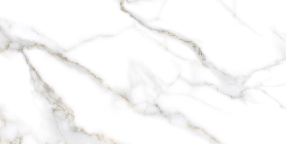 Bodenfliese Satuario Cartin Grau Poliert 60x120