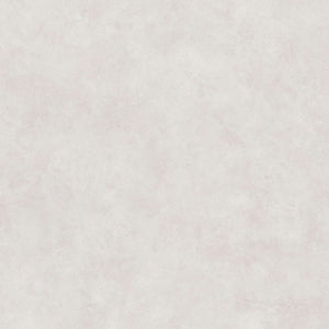 Bodenfliese Zero Hellgrau Matt 120x120
